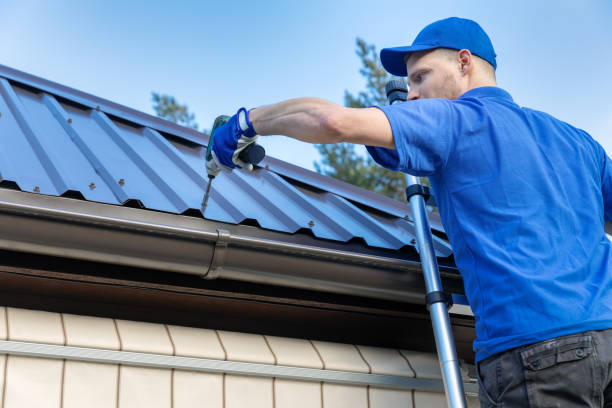 Best Solar Panel Roofing Installation  in Weston, MO