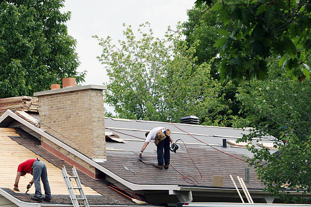 Best Roof Moss and Algae Removal  in Weston, MO