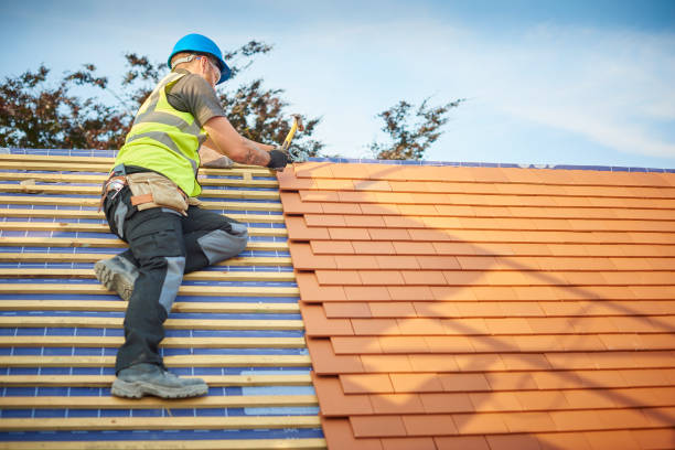 Best Roof Insulation Installation  in Weston, MO